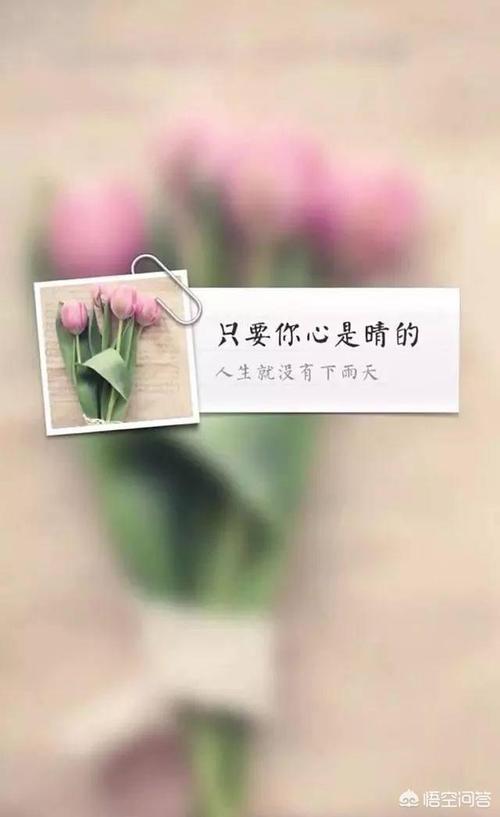 细语芬芳，醉美文字（分享美好）