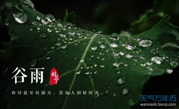 《谷雨，春天的真正到来》（在谷雨季节里感受生命的奇迹）