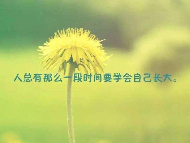 感恩之美（细节中的感恩）