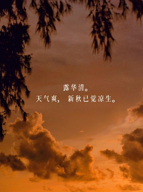 夏日炎炎，处暑已至（唯美短句）