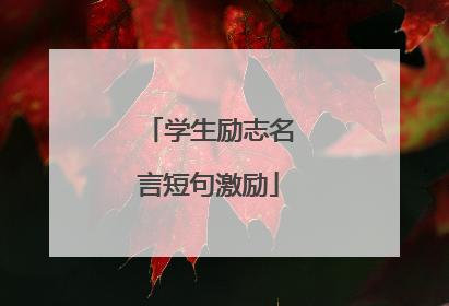 青春绽放，梦想启程（青春绽放）