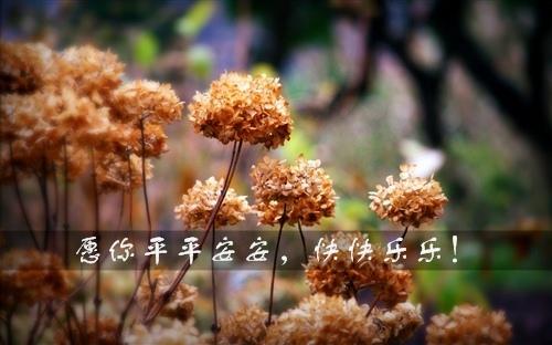 温馨祝福、甜蜜瞬间、美好回忆（温馨祝福）