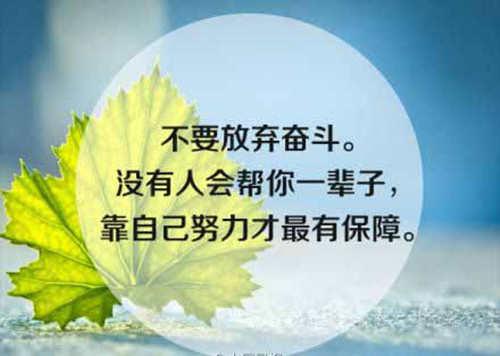 励志名言，启迪心灵，点燃未来之光（励志名言）