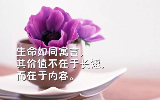 寻找光芒（用哲理点亮人生）