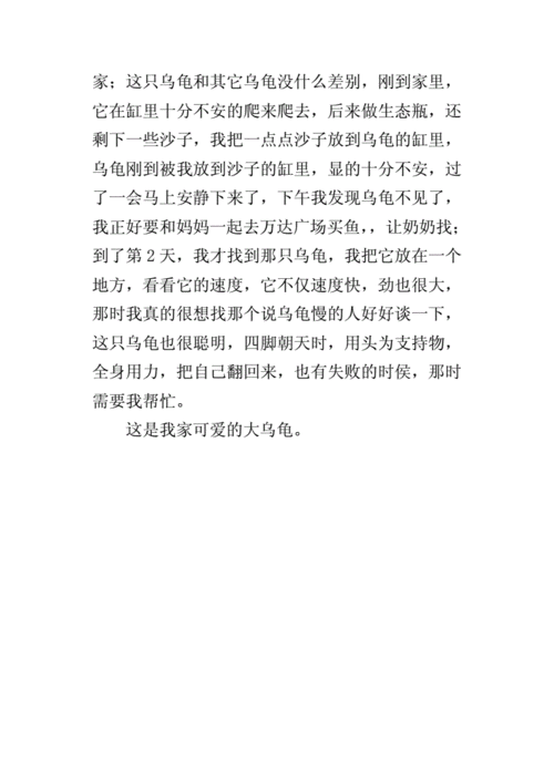 勇往直前的小乌龟（胜利的喜悦与不断的努力）