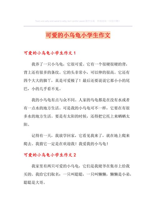 勇往直前的小乌龟（胜利的喜悦与不断的努力）