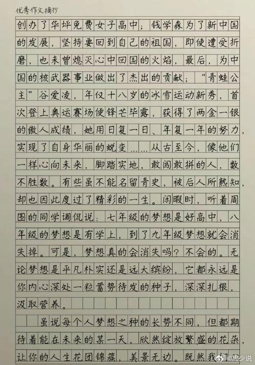 勤奋学习，梦想成真（一个小学生的奋斗史）