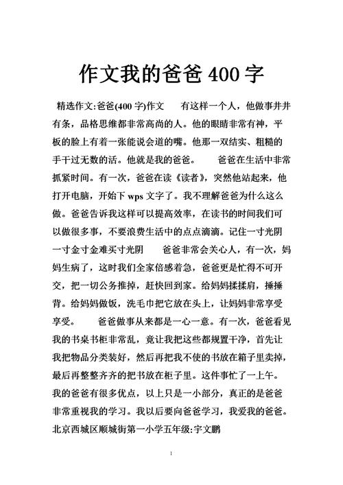 《从高中一年级到毕业——我的爸爸成长史》（一个普通男孩的青春故事）