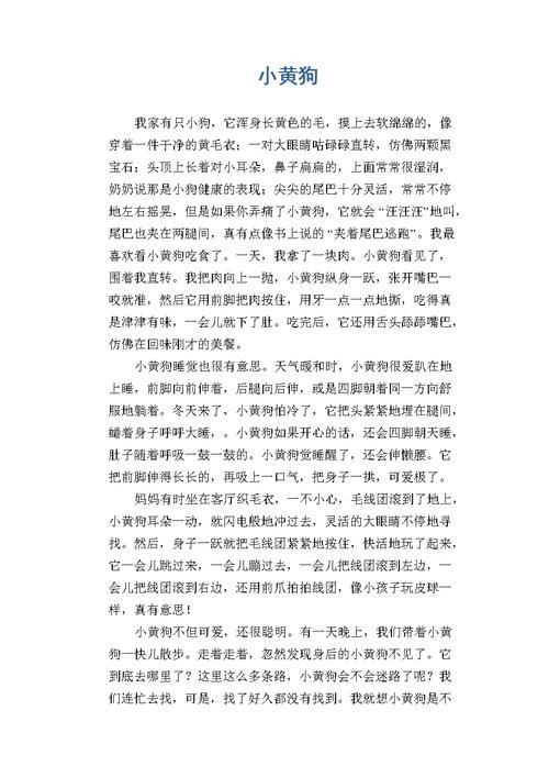 小狗眼中的世界（一只狗的情感之路）