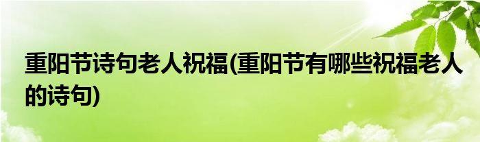 2023重阳节老人祝福语简短有哪些？如何表达对长辈的关怀？