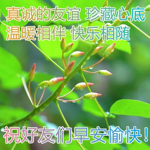 2023早安语录有哪些？温馨祝福语简短句子怎么写？