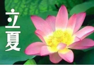 立夏说说短语句子好句有哪些？如何挑选适合立夏的句子？