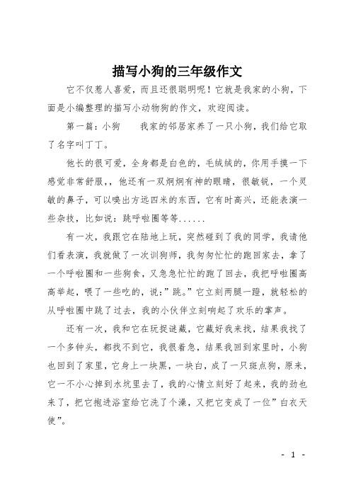 我最喜爱的小狗吉吉——与它共度美好时光的故事