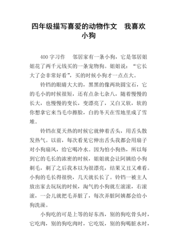 我的小狗的故事（一个关于豆豆的生命故事）