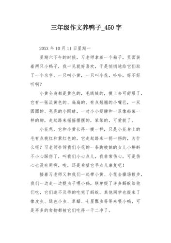 我和小鸭子的故事