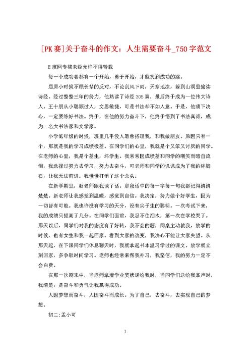 我的奋斗目标——成为一个优秀的人（勇攀高峰）