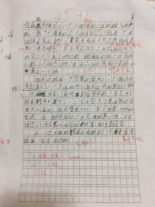 从失败到成功，我学会了坚持不懈（一个六年级学生的尝试之旅）