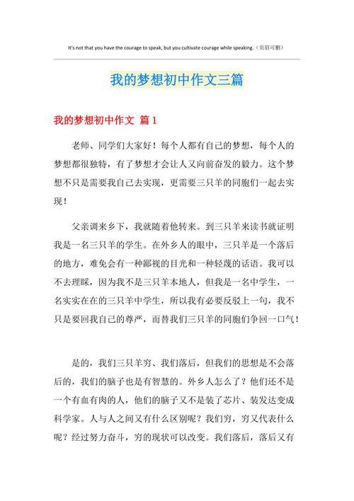 梦想之路：从懵懂少年到成长之路