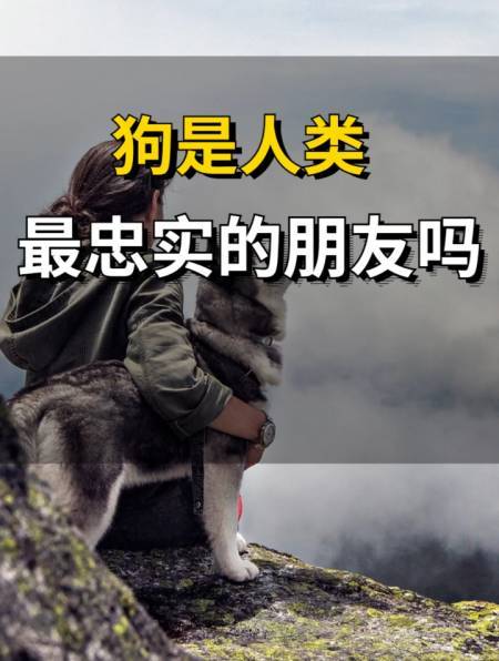 忠实的友谊，直到永远（一生中最珍贵的礼物）