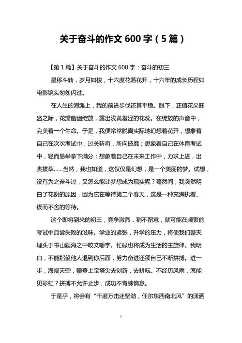 奋斗路上无畏前行（成功的背后付出的一切）