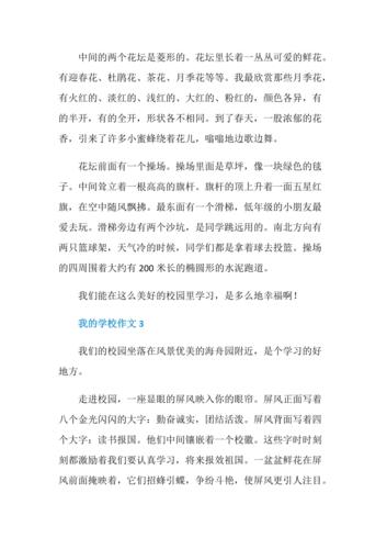 学校精彩的故事（挑战自我）