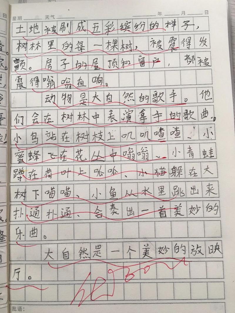 大自然的芳香——一个草原故事