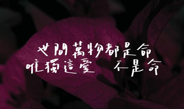 适合摘抄的神仙惊艳唯美句子有哪些？如何运用到日常生活中？