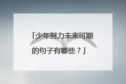 形容学生未来可期的唯美句子有哪些？如何用句子激励学生？