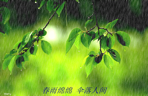 蒙蒙细雨意境的唯美诗句有哪些？如何描绘雨中景象？