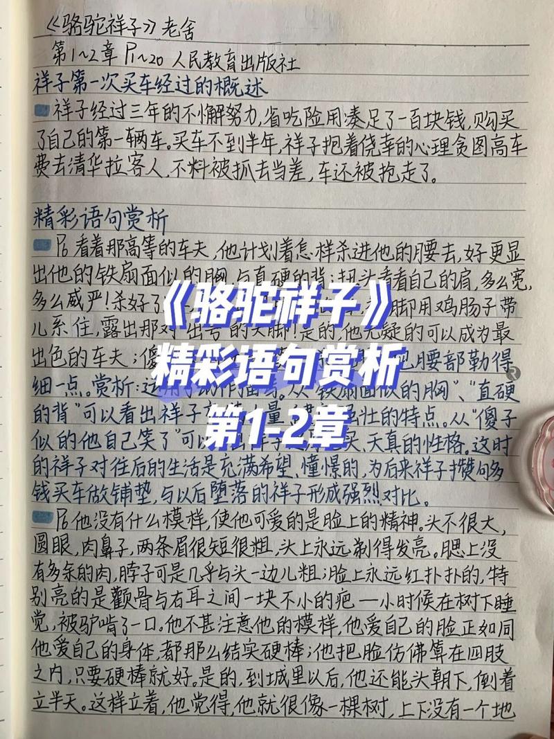 骆驼祥子第二十四章有哪些精彩好句？如何赏析这些文学佳句？