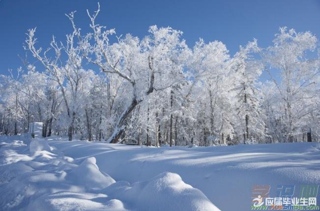 如何用唯美句子形容大雪纷飞的景象？