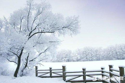 如何用唯美句子形容大雪纷飞的景象？