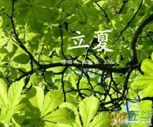 立夏有哪些幽默经典句子？如何用幽默句子迎接立夏？