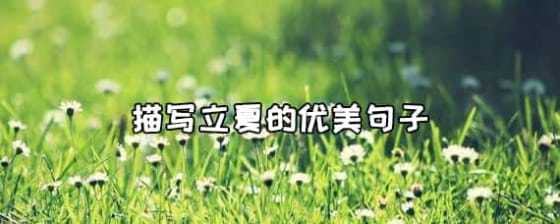 立夏有哪些幽默经典句子？如何用幽默句子迎接立夏？