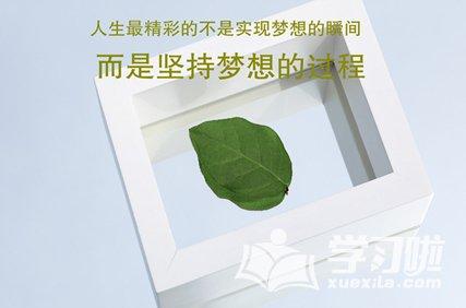 如何用坚持梦想的句子激励自己？这些句子有哪些含义？