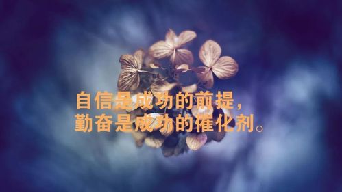 如何用激励语句提高业务员的工作热情？这些语句真的有效吗？