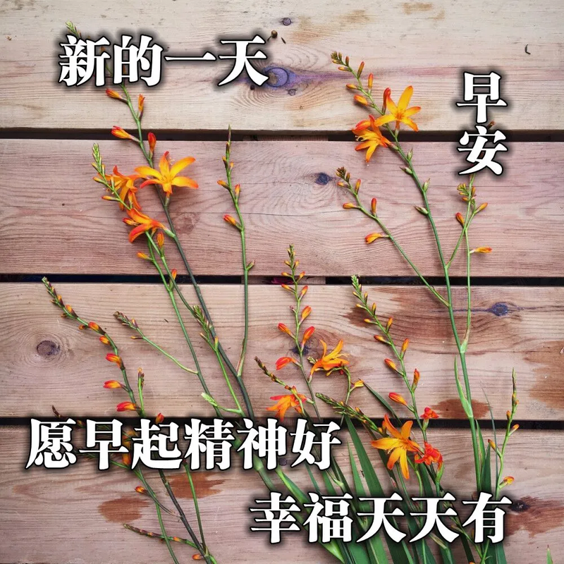 医师节适合发朋友圈的祝福句子有哪些？如何表达对医师的敬意和祝福？