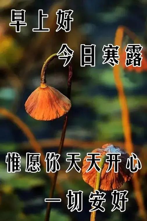 一场秋雨一场寒心情短语是什么意思？如何用它表达情感？