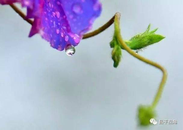 一场秋雨一场寒唯美说说怎么写？有哪些经典语录？