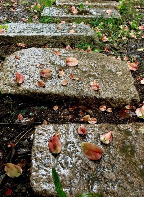 一场秋雨一场寒说说？如何应对秋季气候变化带来的影响？