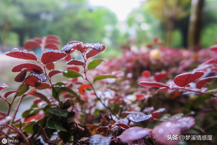 一场秋雨一场寒是什么意思？经典说说有哪些？