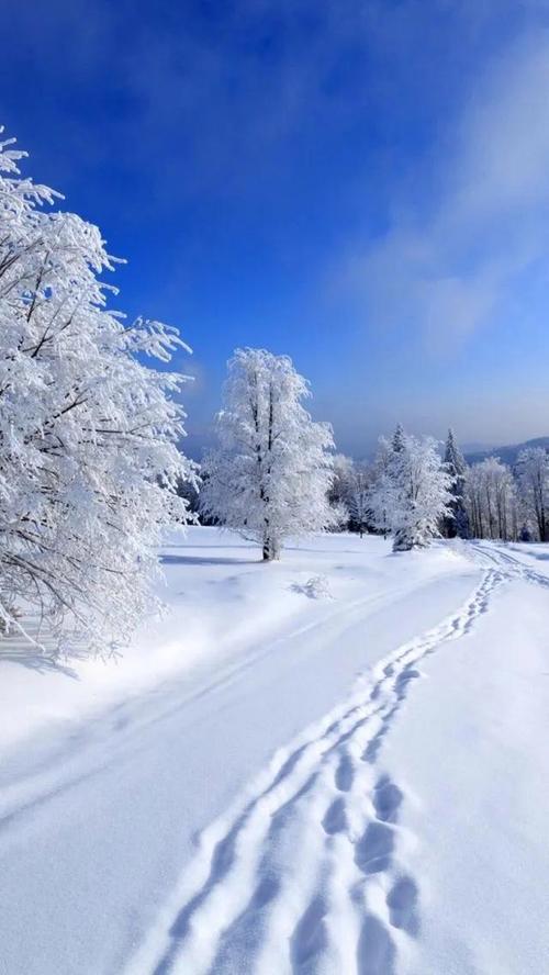 雪的句子经典唯美有哪些？如何用雪的句子表达情感？