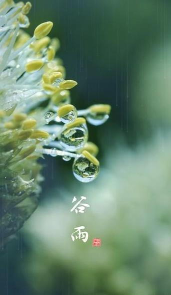 形容谷雨时节的优美句子有哪些？如何用诗句描绘谷雨之美？