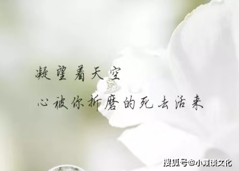 心死的句子说说心情是什么意思？如何表达心死的感受？