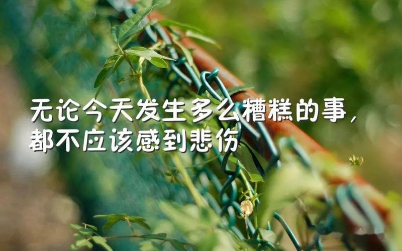 挽回爱情的句子说说？如何用话语打动对方的心？