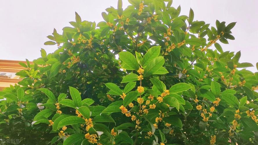 温暖秋日：一个让人沉醉的季节