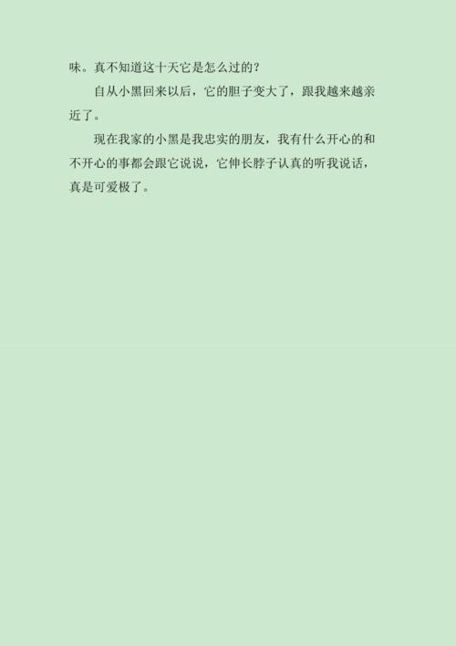 毛茸茸的小狗——我的最忠实的朋友（陪伴我成长的她）