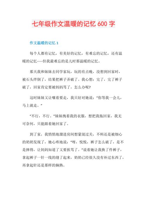 记忆的传承（一个少年与一位老人的故事）