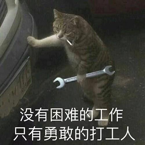 抓住梦想的翅膀