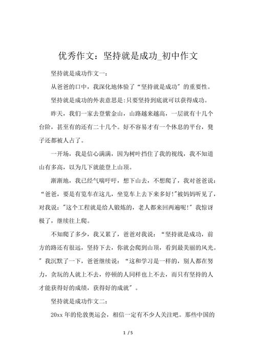 坚持到底——小李的故事（以坚持为信仰，以执着为初心）